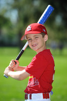 AA_Cardinals004