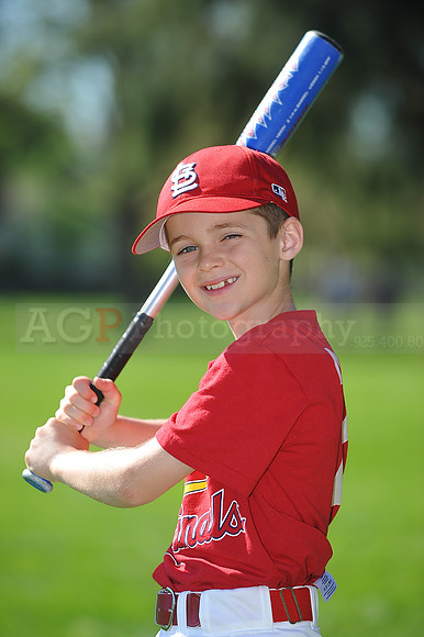 AA_Cardinals004