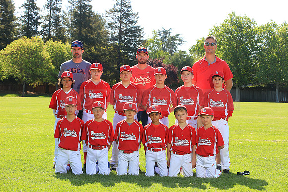 PLL_AAA_Cardinals00082