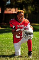 Falcons009