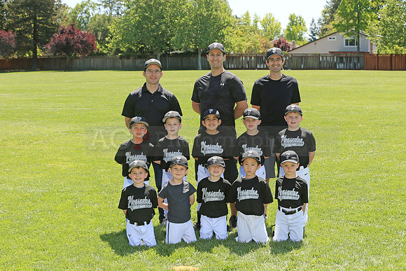 PLL_FM_Lugnuts00100