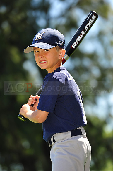 AA Brewers088