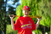 MajorCardinals012