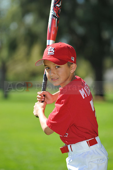 AA_Cardinals028