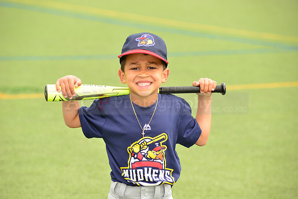 SB_TB_mudhens00019