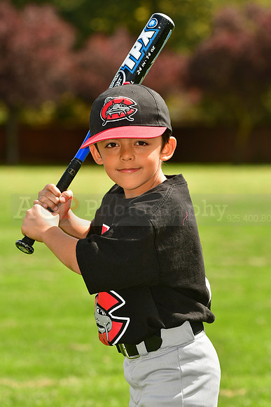 FMMudcats067