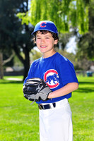FMCubs010