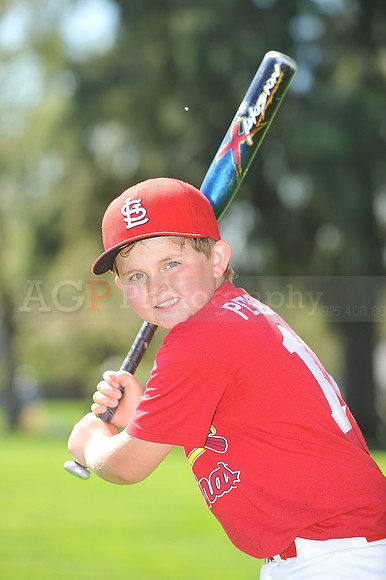 A_Cardinals070