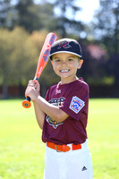 TBTimberRattlers003