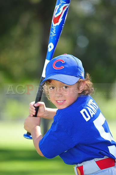 Farm_Cubs084