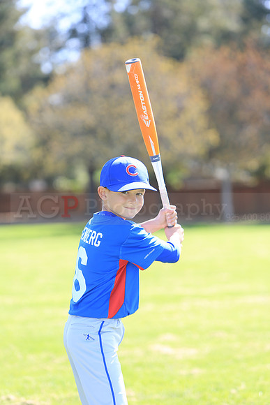 AAACubs022
