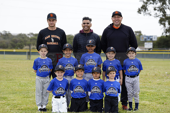 TBIronBirds00141