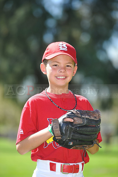 A_Cardinals013