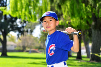 FMCubs017