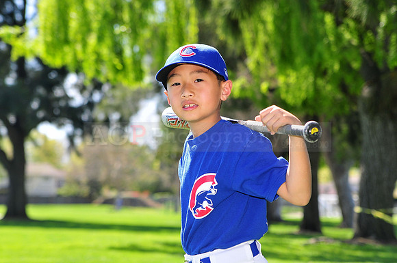 FMCubs017