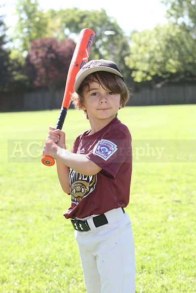 FMTimberRattlers010