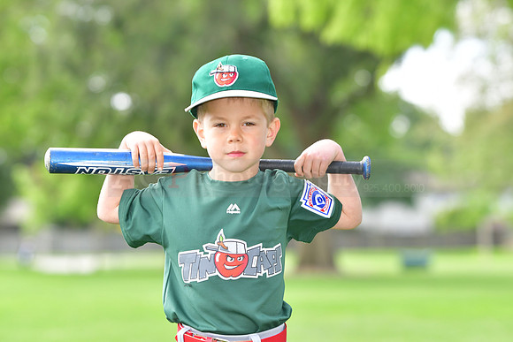 TBTincaps008