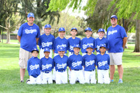 AA DODGERS