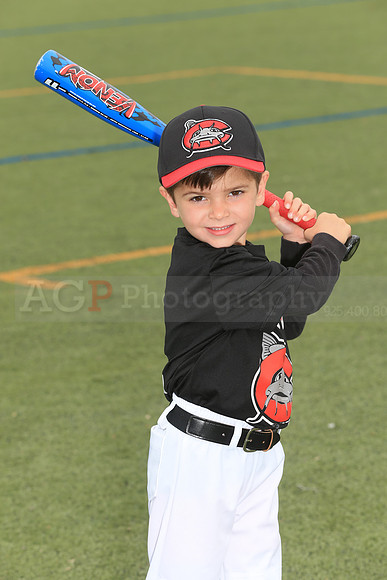 SB_TB_Mudcats00013