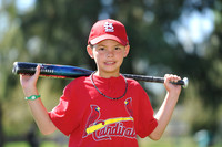 A_Cardinals020