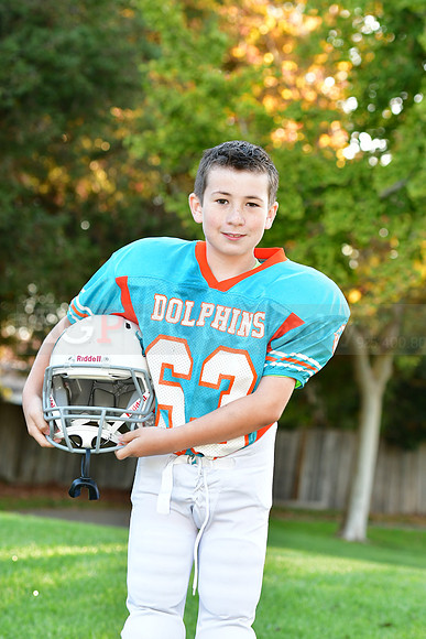 Dolphins102