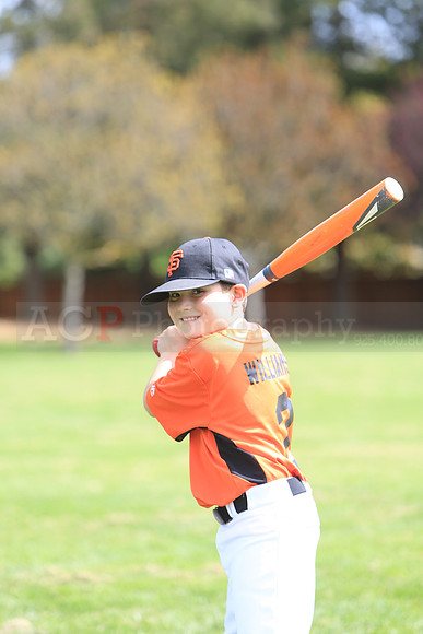 AAAGiants048