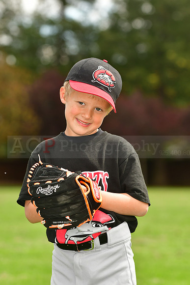 FMMudcats017