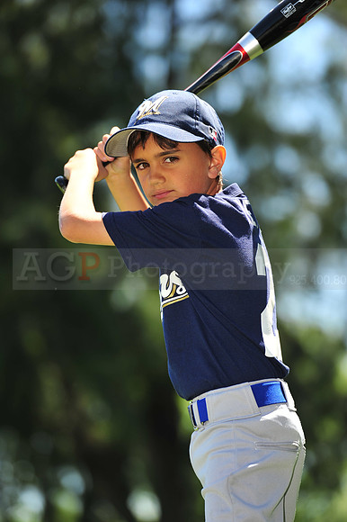 AA Brewers047
