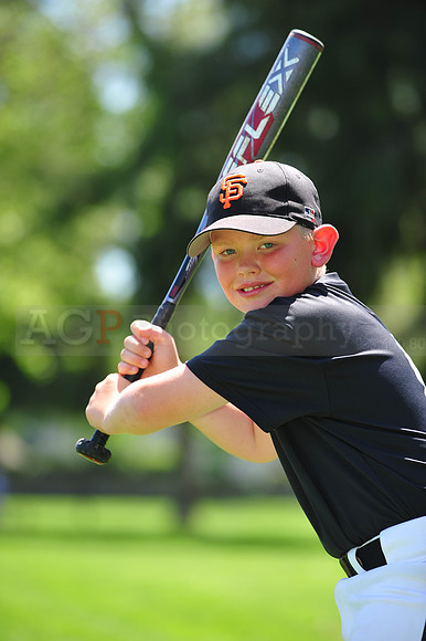 AAA_Giants025