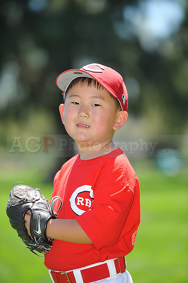 T-Ball_Reds019