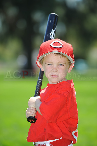 T-Ball_Reds047