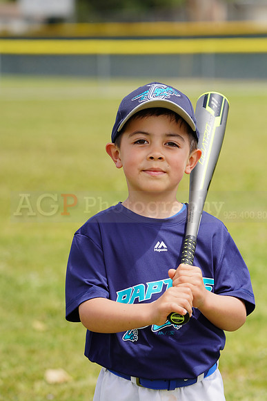 AGP09203
