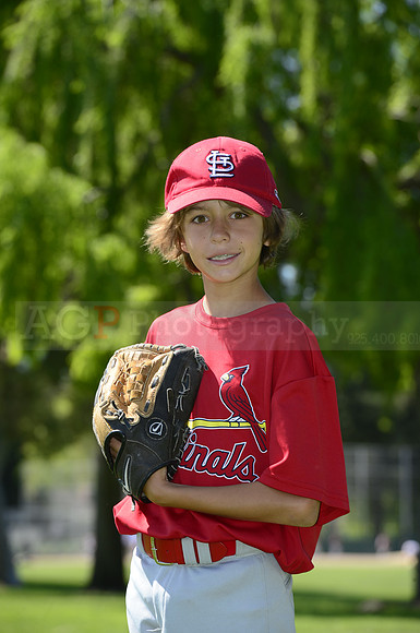 AAA Cards033