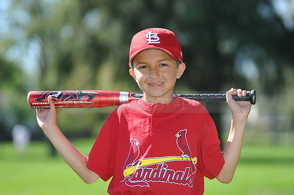AA_Cardinals031