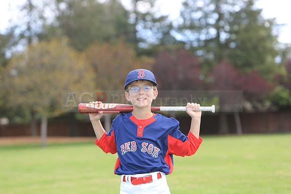 AARedSox005
