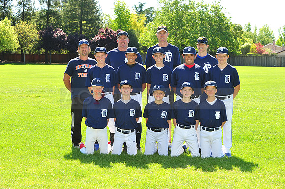MTigers083
