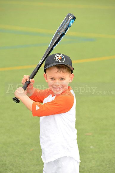 SB_TB_Ironbirds00090