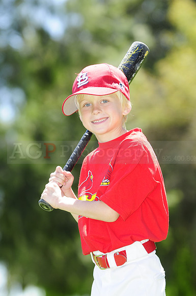 FarmCards038