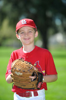 AA_Cardinals002