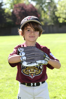FARM TIMBER RATTLERS