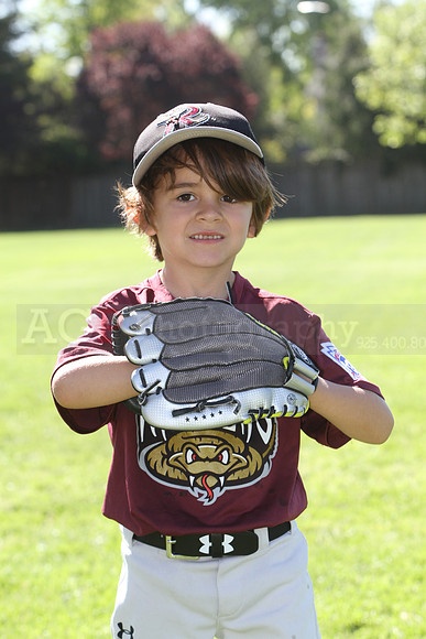 FMTimberRattlers003