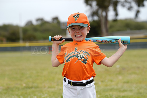TBGrasshoppers00049