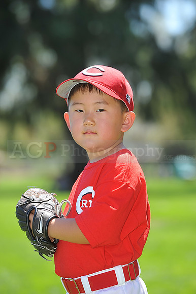 T-Ball_Reds018