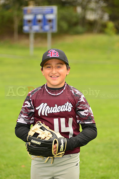 BMudcats00183