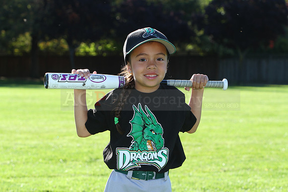 FMDragons009