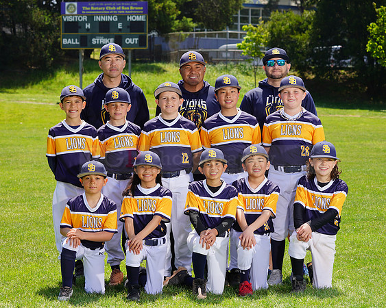 SB_PW_Lions105