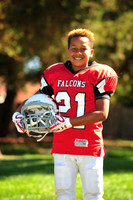 Falcons007
