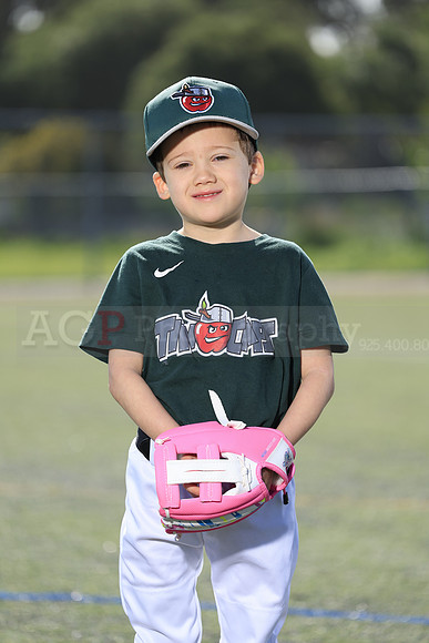 SB_TB_TinCaps002