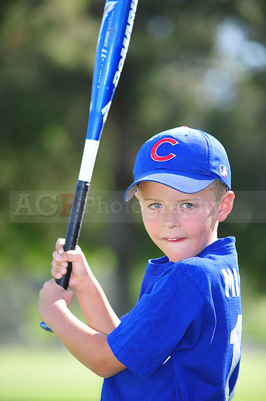 Farm_Cubs075