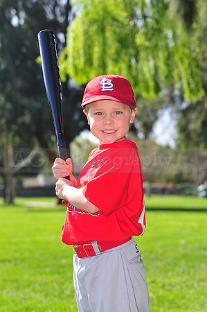 TBCardinals026